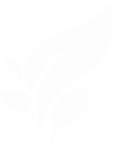 FERTILIDADE